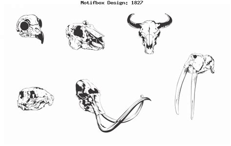 ZOOLOGY CLIP ART