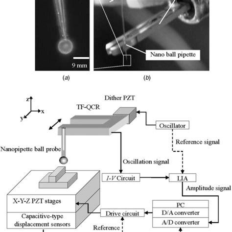 Configuration Of Form Measuring Apparatus A Tip Of Nanopipette Ball