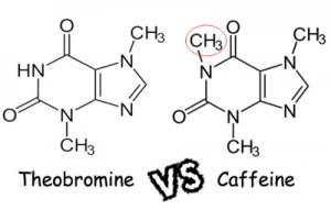 Theobromine Foods | Foodary Nutrition Facts