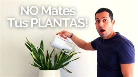 No Cometas Estos Errores Con Tus Plantas Youtube