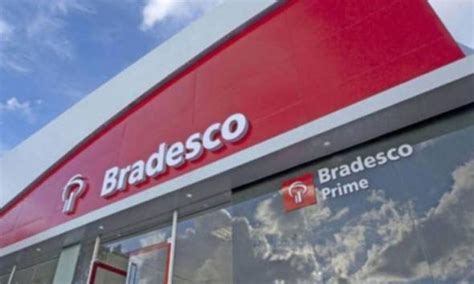 Dividendos Bradesco Aprova R Bi Em Jcp Money Invest