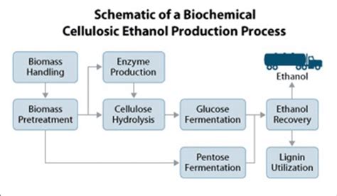 Schematic Flow Diagram Of The Biochemical Production Process Of