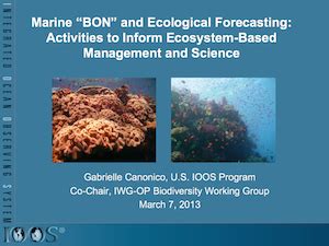 Marine BON And Ecological Forecasting Activities To Inform Ecosystem