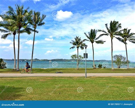 Homem Novo Que Monta Uma Bicicleta Em Um Parque Da Praia Fotografia