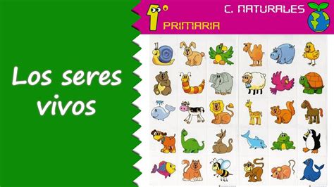 Caracteristicas De Los Seres Vivos Para Ni Os De Primer Grado Ni Os