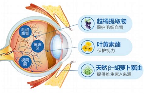 叶黄素对眼睛有什么好处补充叶黄素哪个牌子好