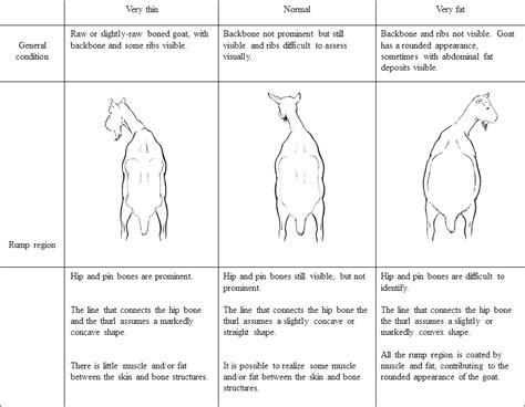 Development And Validation Of A Visual Body Condition Scoring System For Dairy Goats With