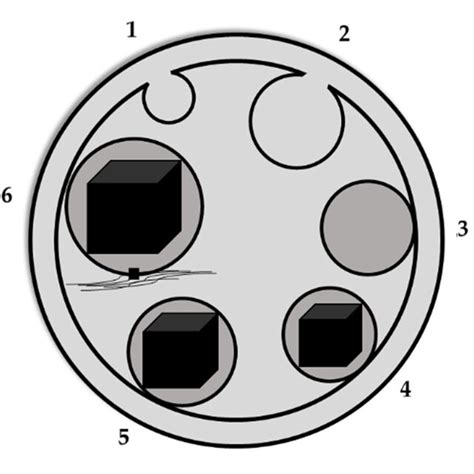 The Schematic Representation Of A Magnetosome Involves A Lipidic