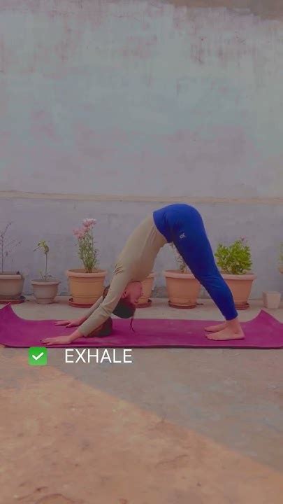 Learn When To Inhale And Exhale During Surya Namaskar Suryanamaskar