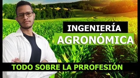 Qu Es Mejor Ingenier A Agr Cola O Agronomica Descubre Cu L Carrera