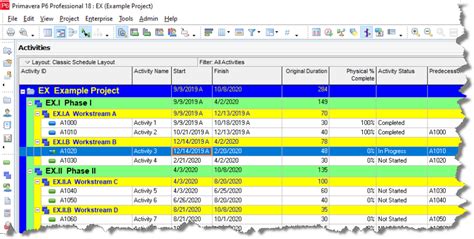 Primavera P6 Timelines Onepager