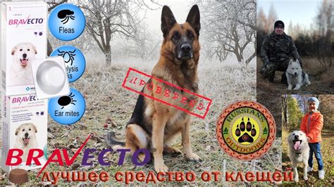 Лучшее средство от клещей 1ч. - YouTube