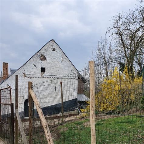 stein tourism  holidays   stein  netherlands tripadvisor