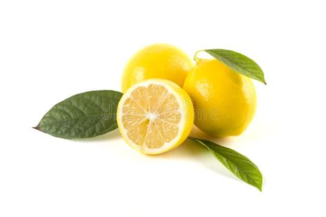 Lemons With Leaves On A White Background Fresh Lemons On A White