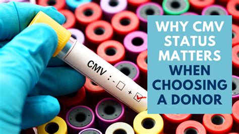 Why Cmv Status Matters When Choosing A Donor Fairfax Cryobank Find