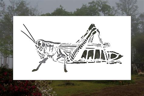 Grasshopper Reusable Stencil Many Sizes Etsy Stencils Reusable Etsy