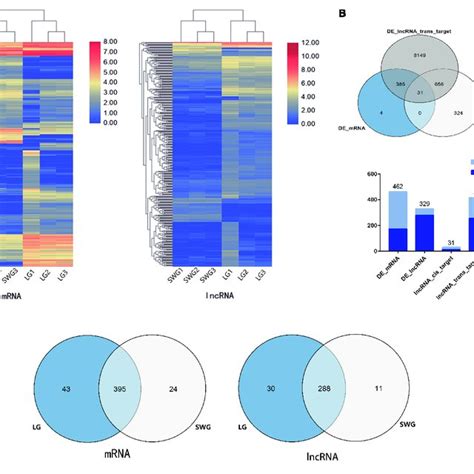 Analysis Of Differentially Expressed Mrna And Lncrna A Cluster Map