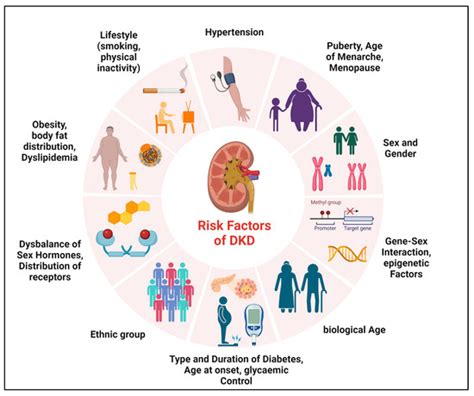 JCM Free Full Text Sex Related Aspects In Diabetic Kidney Disease