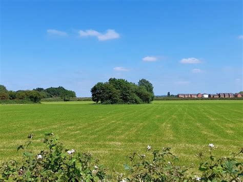 Tree Lined Pond Ian Calderwood Cc By Sa Geograph Britain And