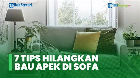 Sofa Di Rumah Bau Apek Coba Tips Hilangkan Baunya Dengan Cara Ini