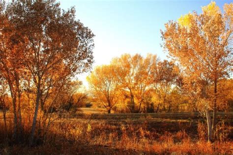 Clima en México: ¿Cuándo acaba el verano e inicia el otoño? - El ...