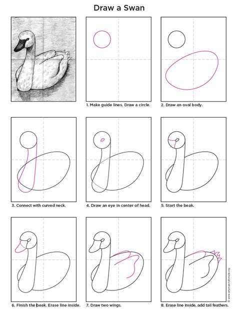 Easy How to Draw A Swan Tutorial and Swan Coloring Page | Art drawings for kids, Swans art, Kids ...