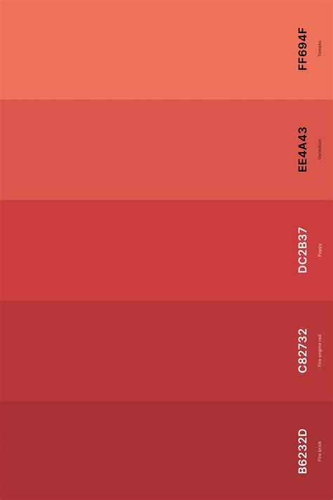 25+ Best Coral Color Palettes with Names and Hex Codes in 2024 | Coral colour palette, Coral ...