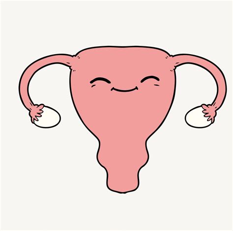 How To Draw A Uterus Step By Step Getting Pregnant How Babies Are