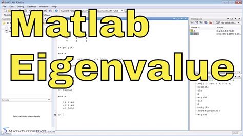 Matlab Tutorial Matrix Norm Eigenvalues And The Characteristic