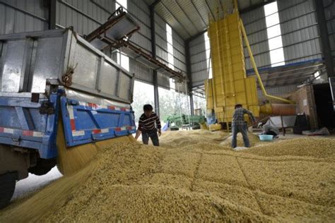 China Issues More Crop Subsidies, Highlighting Its Farm Crisis | The ...