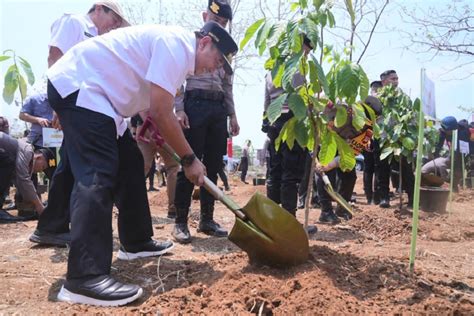 Penanaman Juta Pohon Menko Pmk Terima Kasih Ke Pj Gubernur Sulsel