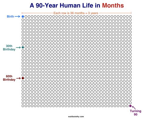 Whats Your Life Blueprint — Mind Map Nation