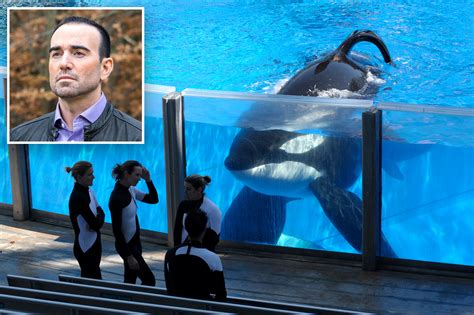 Trainer Warns Of More Seaworld Killer Whale Attacks On Humans