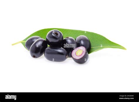 Kala Jamun Fruit