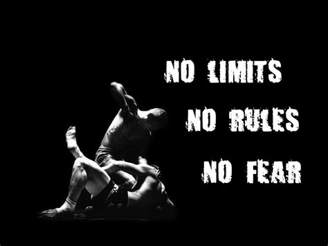 Mma Wallpaper 1024x768 1193