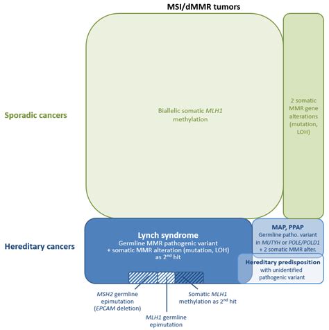 Cancers Free Full Text Diagnosis Of Lynch Syndrome And Strategies