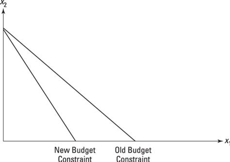 How To Twist The Budget Constraint Curve When Prices Change Dummies