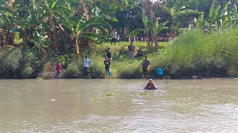 Dampak Pembuangan Limbah Ke Sungai