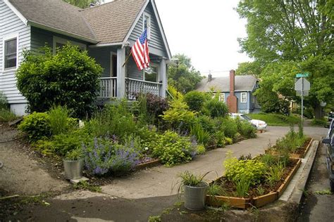 Rhone Street Gardens Taking On The Parking Strips Part 1 Home