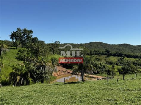 Mil Fazendas Fazenda Para Pecu Ria Intensiva Diferenciada Rea