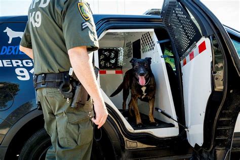 Meet the K9s of the Houston Police Department