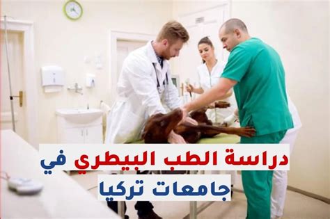 دراسة الطب البيطري في تركيا التكلفة والجامعات التي يوجد بها التخصص