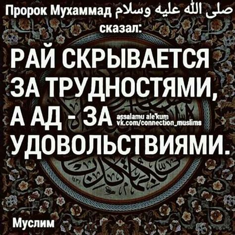 Пин на доске цитати | Правдивые цитаты, Вдохновляющие высказывания ...
