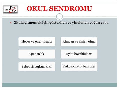 Ppt Orum Rehberl K Ve Ara Tirma Merkez Eyl L Powerpoint