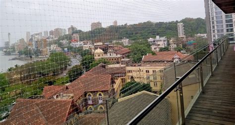 Balcony Bird Safety Netspigeon Control Net At Best Price In Mumbai