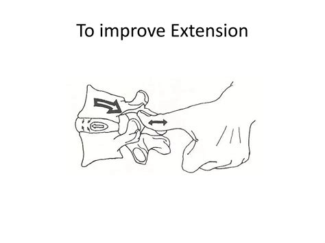 Introduction To Lumbar Spine Mobilisation Maitland And Mulligan Techniques Ppt