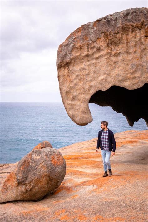 Fun Facts About Kangaroo Island That Will Amaze You