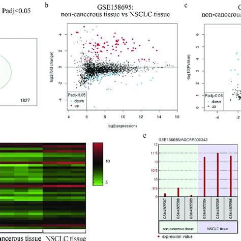 Nsclc Patient Circrna Profiling Results A Differentially Expressed