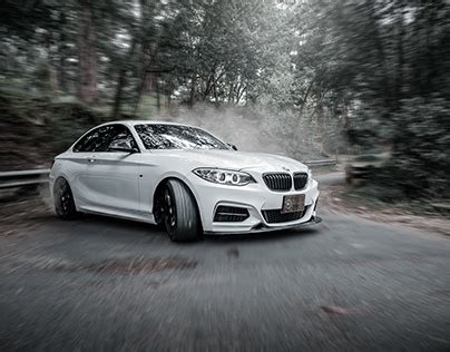 mi projects   logos illustrations  branding