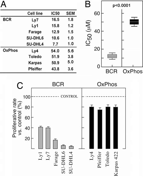 Bcr And Oxphos Dlbcl Cell Lines Exhibit Differential Sensitivity To Download Scientific Diagram